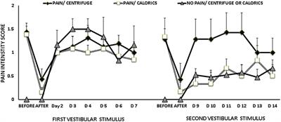 Stimulation of the Semicircular Canals or the Utricles by Clinical Tests Can Modify the Intensity of Phantom Limb Pain